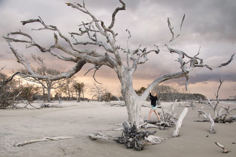 Driftwood Beach at sunset