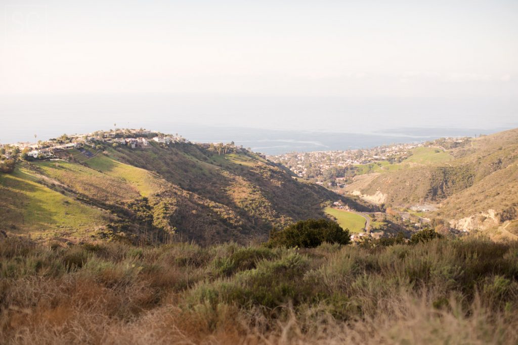 View from Top of the World Park